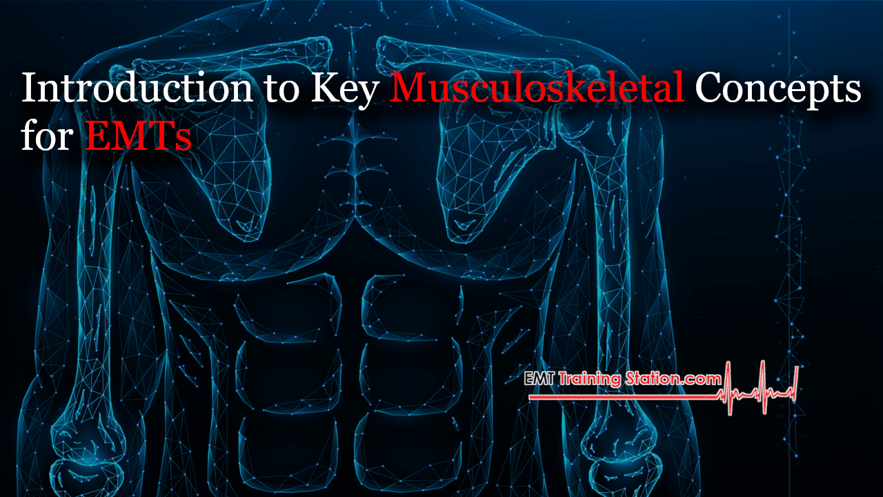 Musculoskeletal System for EMTs: Anatomy, Injuries & Emergency Response