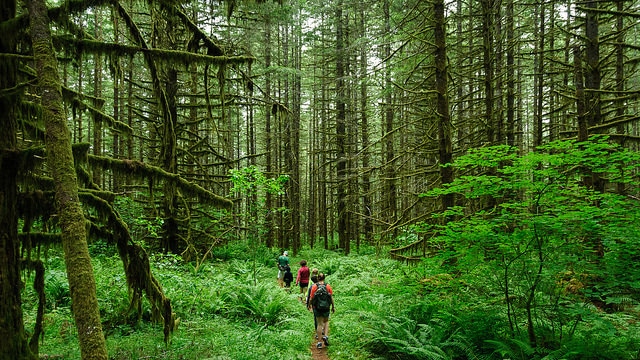 Taking a hike to reset focus