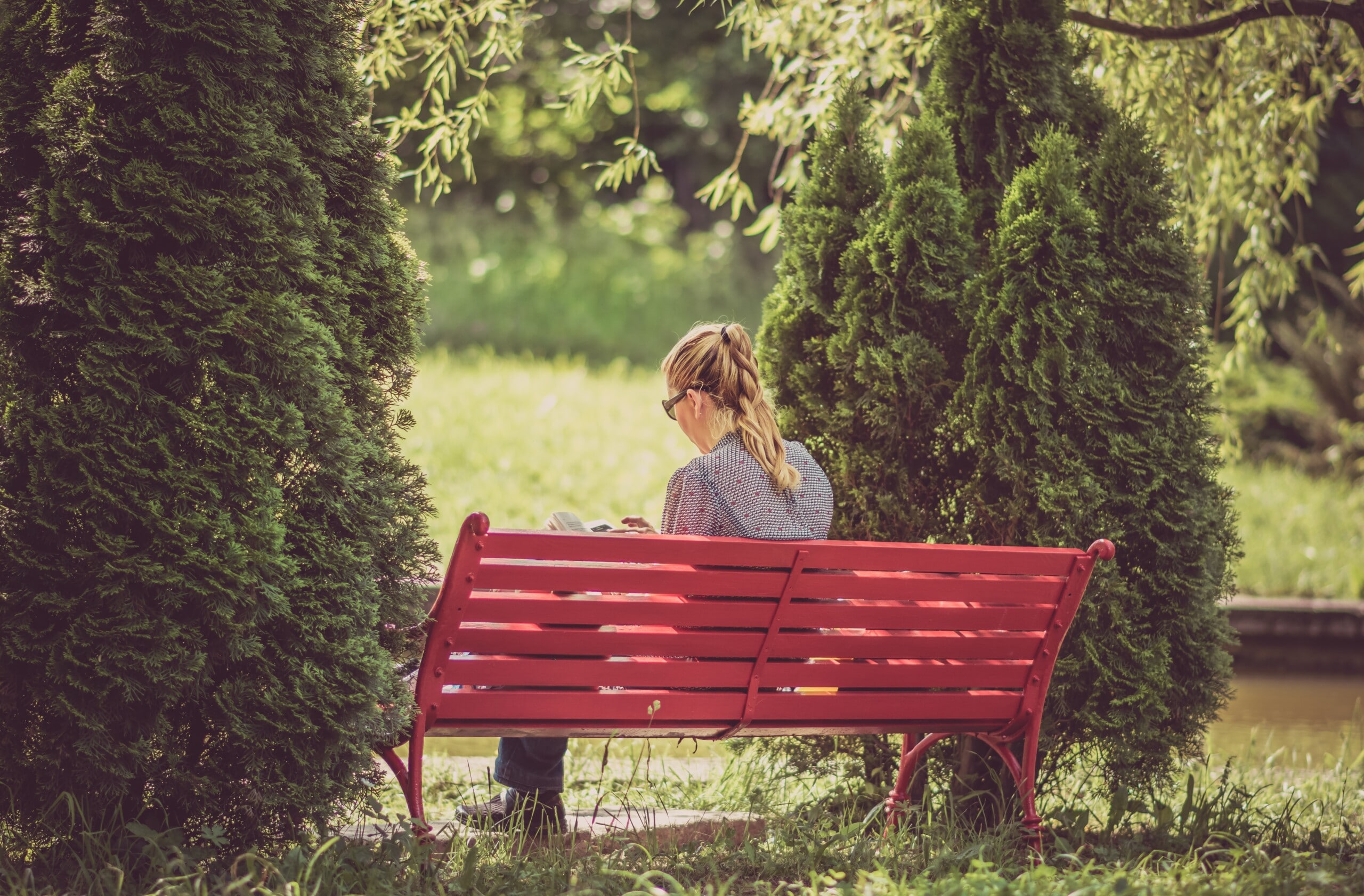 Studying outdoors in a park